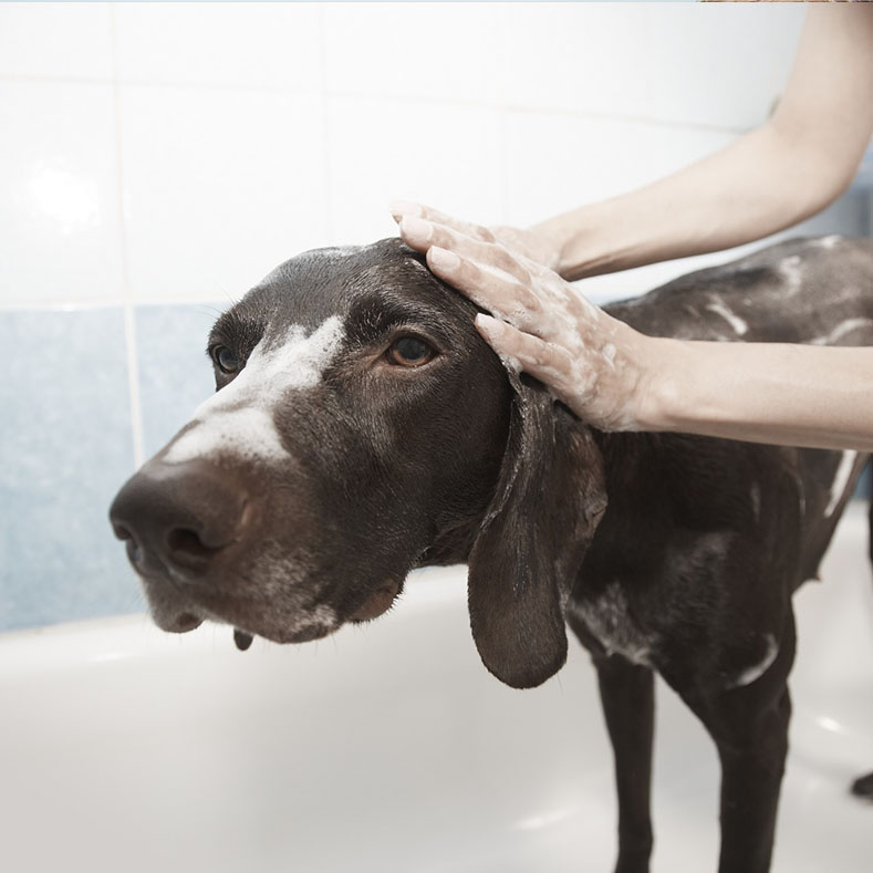 Healthy,Happy,Girl,Taking,Bath,,Profile,Portrait,Of,A,Beautiful